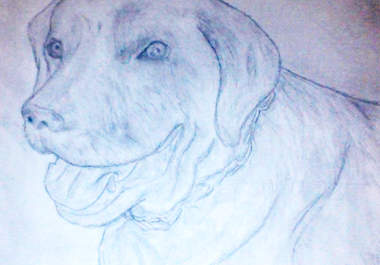 illustrate or draw anything that you would like big1