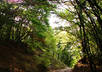 enhance up to 3 images of your choice with superb effects