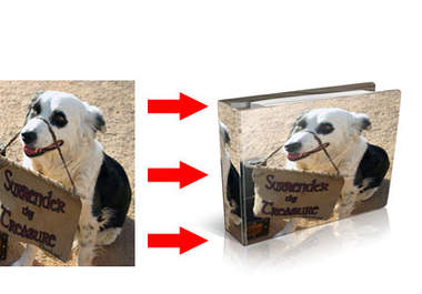turn A Picture You Provide Into A Fat RingBinder Graphic big1