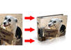 turn A Picture You Provide Into A Fat RingBinder Graphic small1