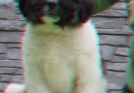 convert 15 regular 2D images into 3D anaglyph red cyan image only big1