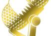 Microphone_gold