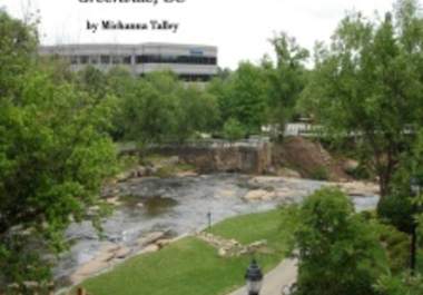 send you a PDF copy of Views of Falls Park big1