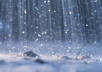 send you 30 min of light rain audio recording