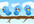 tweet your website to my 195,000 twitter followers for traffic and backlinks