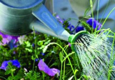 give you the complete guide to growing anything in your backyard big1