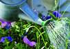 give you the complete guide to growing anything in your backyard
