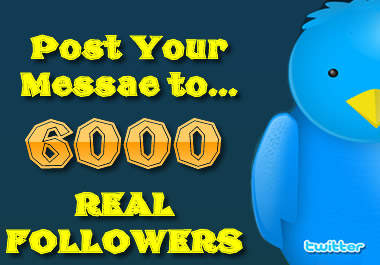 post your message to my 6000 REAL followers twice per day for 3 days total giving your 6 total twitter tweets or twitter posts for traffic big1