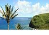 take a video of any place in or around Hilo small1