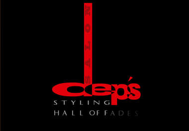 design a professional branding logo big1