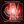 concretebeatz