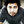 davidnmedia