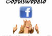 add minimum 150 guaranteed likes to your Facebook fanpage, no admin rights needed only small1
