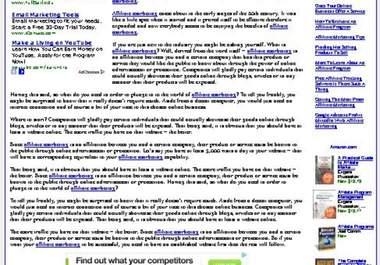 build You A Great Niche Website And Monetize It For You big1