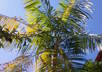 show you what I see from  my window in Rio de Janeiro small1