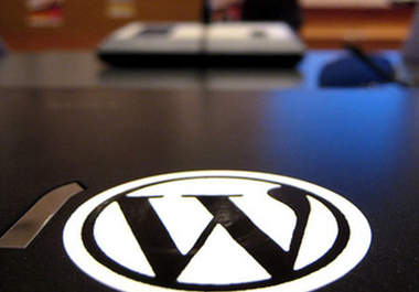 setup wordpress and fix or any type of issues in your existing wordpress site big1