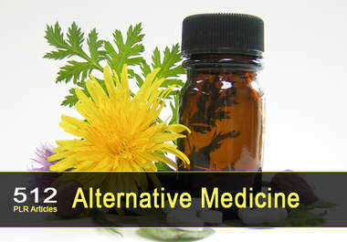 give you 512 PLR Articles on Alternative Medicine big1