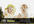 give you 788 PLR Articles on Babies