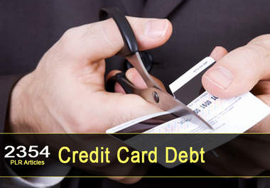 give you 2354 PLR Articles on Credit Card Debt big1