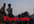make a video of funny Dancing and jumping KIDS holding your website name, short message, company name, slogan and birthday wishes