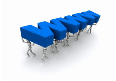 Domain Name Business Secrets Domain Name Business Secrets