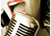 voice up to 2 minutes of material small1