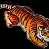 tiger