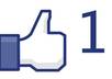 give you 10 ongoing new likes on status posts on your personal Facebook or business page for one week that make your page alive