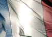 do your english to french translation or proofread your french text or do your french homework