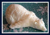 make you an awesome polar bear soap