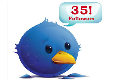 give you 35 new, high quality twitter followers big1