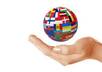 professionally translate any text from Spanish to English or viceversa