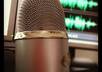 record a professional quality voice over up to 3 minutes long