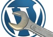 install you wordpress and theme what u want