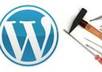 solve any of your wordpress issues