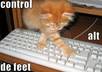 type any documents
