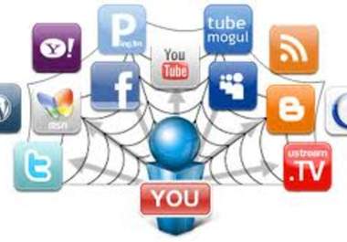 give you a social media marketing plan used by professionals in social media big1