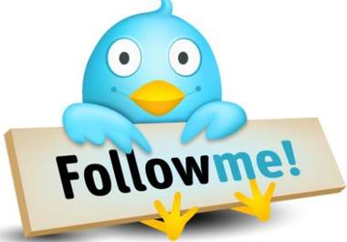 be a Facebook/Twitter consultant big1