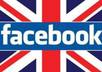 get you 400+ LIKES on your Facebook page in 5 days [Express gig]