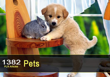 give you 1382 PLR Articles on Pets big1