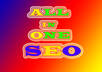 provide All in One SEO package