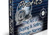 send Domain Name Profits