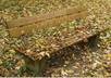 write your name along with your lover on a bench and take a pic of it