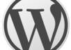 provide Wordpress programmers developers coder for hire who can do any type of Wordpress work for 1 hour