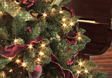 review your Christmas tree big1