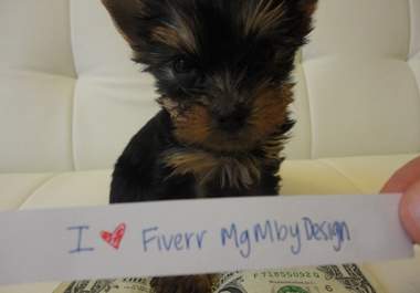 have the Worlds Cutest Teacup Yorkie advertise your product, website, blog, or anything you like big1