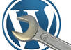 Wordpress-must-dos