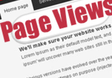 provide you with Page Views from Targeted Visitors Worldwide big1