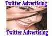 add in 24 hours Safely over 500+ Twitter Followers, No Password required, Only your Twitter User Name is needed small1