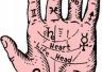 read your palm